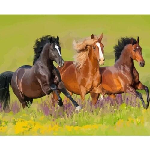 Painting By Numbers DIY Dropshipping Digital Grass Horse DIY Animal 40x50CM Handmade For Living Room Wall Decor Oil Painting