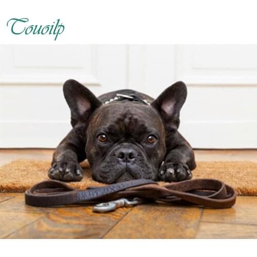 DIY 5d diamond painting black French bulldog full dog 5d diamond embroidery square&round diamond mosaic full paste pattern Beads