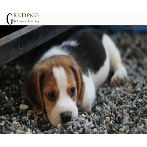 Puppy Playful dog 5D diy Full Square/Round Diamond Painting Cross Stitch Diamond Embroidery Diamond Mosaic Wedding decoration