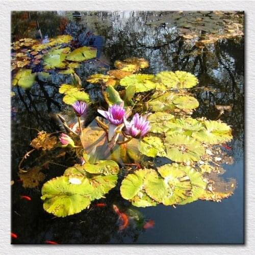 Hot sale wall decorations beautiful summer photo picture print of Lotus pond with lotus flowers fine living room art