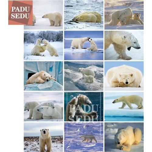 Diamond Embroidery Bear Animal Cross Stitch 5D Diy Diamond Painting Full Set Square Polar Bears Rhinestones Art Home Decor Room