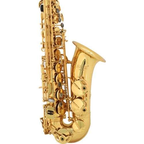 ALEX Soprano elbow Sax AAS-300 adult children Sax Beginners