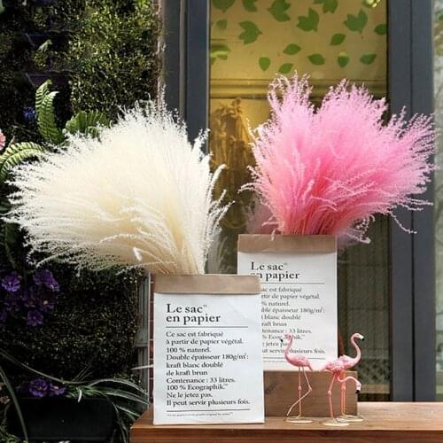 10PCS Dried Pampas Grass Plant White Reed Dry Flower Bouquet Home Decoration Room Ornaments Artificial Greenery Table Art Party