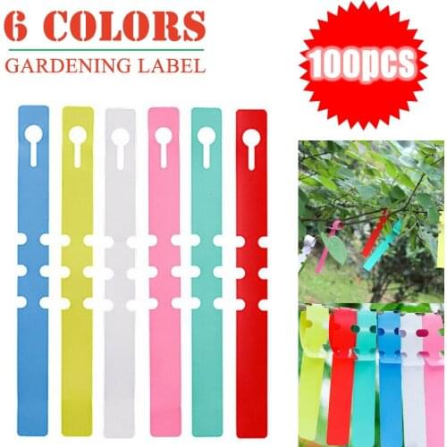 100PCS/Set Garden Plant Tree Tags Labels Hanging Name Waterproof Labels Marker Pink/Red/Yellow/White/Green/Blue Plant Label