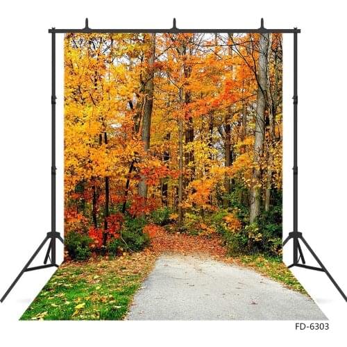 Photo Backdrops Yellow Leaves Grove Autumn Custom Background Photography Props for Baby Children Portrait Scenery Photoshoot