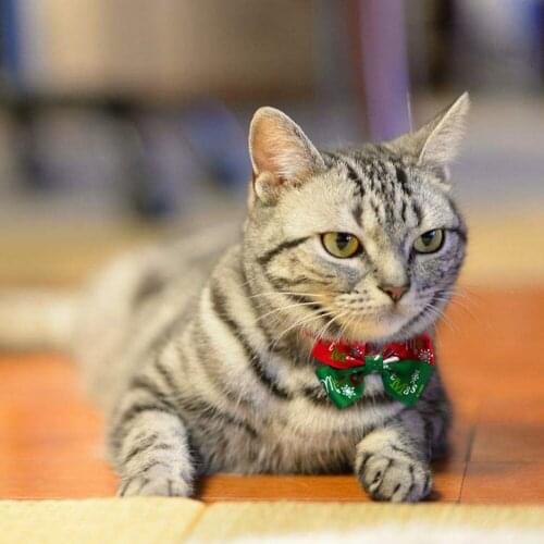 1pc Christmas Pet Supplies Pet Dog Cat New Year Xmas Bowties Neckties Santa Tree Pet Bow Tie Collar Pet Supplies High Gorgeous