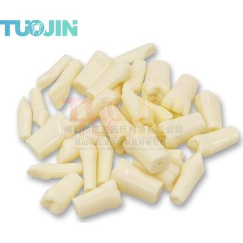 32PCS Free Shipping Compatibly Nissin Brand Dental Resin Tooth Model Material Plastic Teeth Teaching Model Dentistry tool