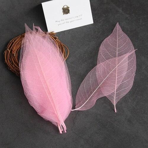 15-20cm,Natural Pressed leaves,Real Dried Flower for DIY Wedding invitations Art Craft Bookmark,Valentines Gift box Decoration