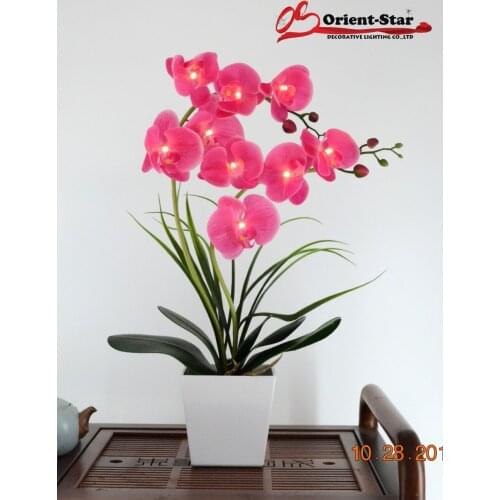 Orient Star Lamps With Lampshade