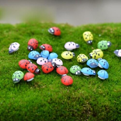 10000Pcs Colorful Mini Home Decor Kid Toys DIY Ladybird Ladybug potted decorative home decor photography props garden decoration