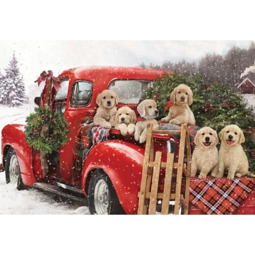 Jmine Div 5D Labrador Dog Red Car Full Diamond Painting cross stitch kits art High Quality Animal 3D paint by diamonds