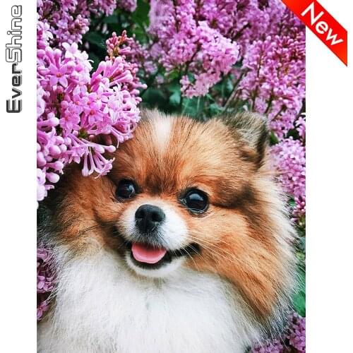Evershine Diamond Embroidery Dog Full Square Diamond Painting Flowers And Animals Cross Stitch Sale Craft Kit Home Decoration