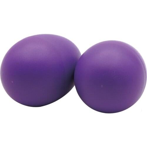 2pcs Plastic Shaker Eggs Percussion Rhythm Musical Instruments