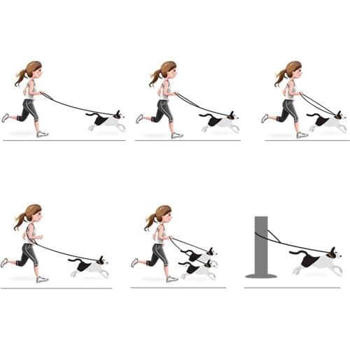 Heavy Duty Dog Leash Traffic Handle Dog Rope Leash for Control Safety