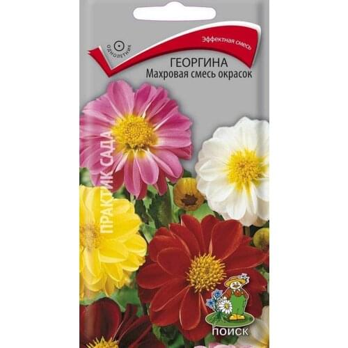 Семена Георгина Махровая 3 г ТМ Поиск