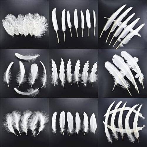 New 20pcs 13 kinds white Rooster feathers 8-30cm pheasant chicken Ostrich Peacock Turkey feathers DIY wedding decoration plumes