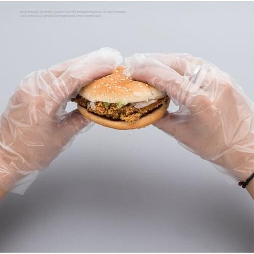 500PCS/Set Food Plastic Gloves Disposable Gloves for Restaurant Kitchen BBQ Eco-friendly Food Gloves Fruit Vegetable Gloves