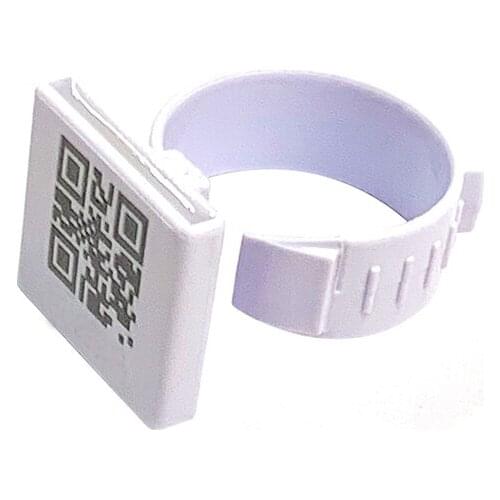 FT09 RFID FOOT TAG for Chicken 125KHZ TK4100 Chip