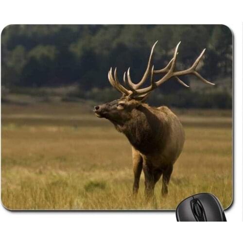 Custom Mouse pad,Deer Mouse Pad, Mousepad (Deer Mouse Pad)