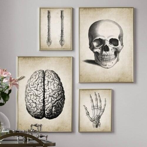 Vintage Human Anatomy Poster Skeleton Brain Finger Skull Canvas Art Painting Wall Pictures for Doctor Office Medicine Student