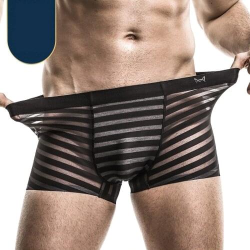 Sexy Men Boxers Underwear Cueca Transparent Panties Man Intimate Ice Silk Pouch Underpants Male Penis Gay Plus Size Boxershorts