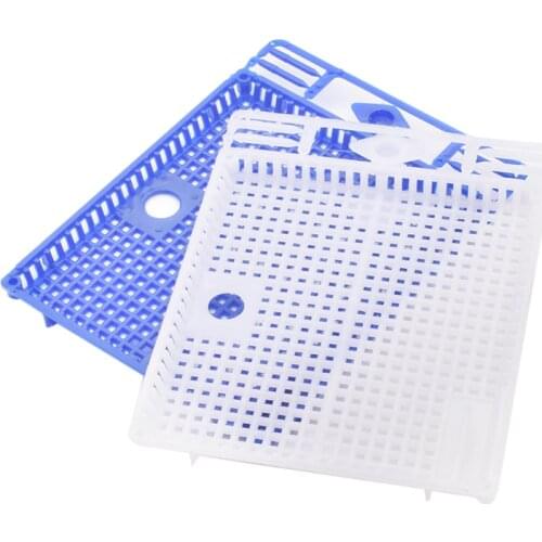 1PCS Queen Isolation And Introduction Cage Plastic Round flat queen introducing cage