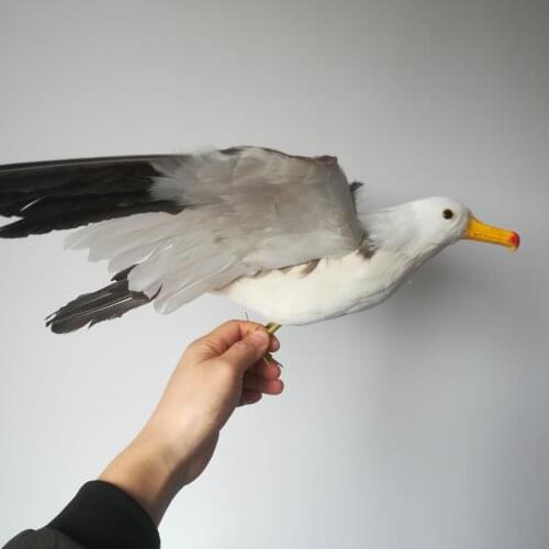 Real life toy foam&feathers seagull bird about 38x60cm spreading wings seagull hard model prop.home garden decoration gift w0819