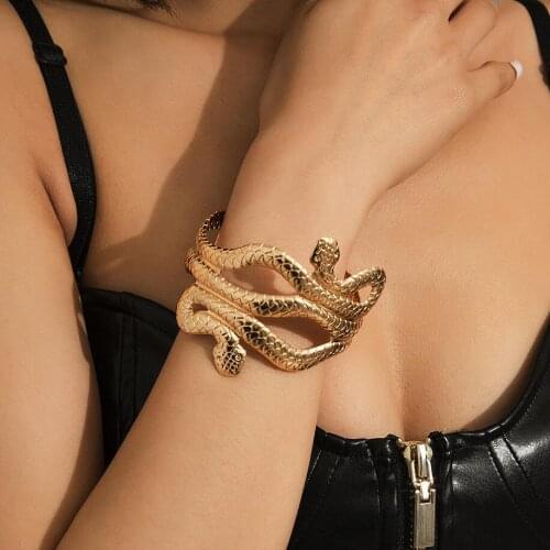 Double Snakes Wrapped Punk Metal Cuff Bangle for Women