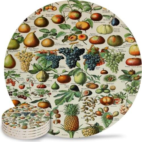 Fruits Vintage Scientific Illustration Round Coaster Coffee Table Mats Kitchen Table Accessories Absorbent Ceramic Coasters