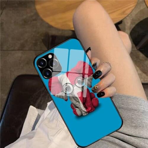 Baby Elephant with Glasses and Danish Flag Phone Case Glass Phone Case For iphone 12 11 Pro Max XS XR X 8 7 Plus SE2 Case