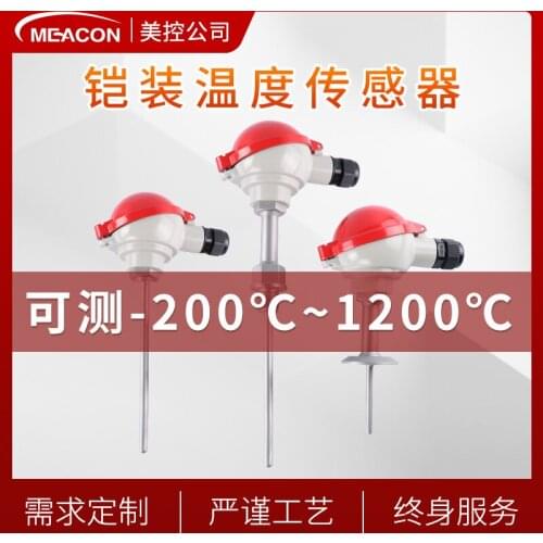 Pt100 Temperature Sensor Probe Pt1000 Direct Lead Temperature Probe Temperature Sensor