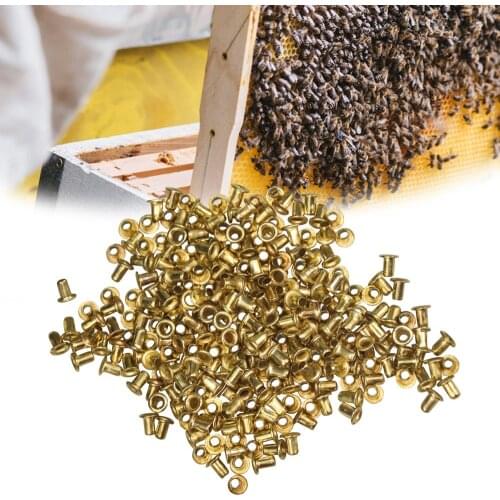 Beekeeping 12000pcs Brass Beehive Copper Eyelet Frames Basis Foundation Eye Hive Copper Eyes Goods Tools For Beekeeper Supplies