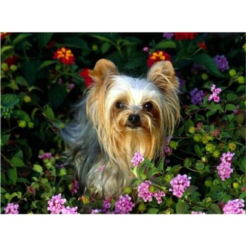 DIY Mosaic Diamond Painting Cross Stitch kits animal dog full Resin round Diamonds Embroidery needlework Home Decor