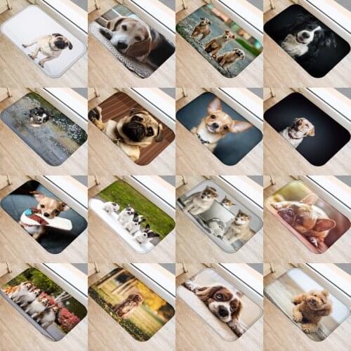 1pcs 40*60cm Cute Pug Husky Dog Pattern Anti-Slip Suede Carpet Door Mat Doormat Outdoor Kitchen Living Room Floor Mat Rug 48302