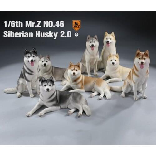 Mr.Z No. 046 Siberian Husky DOG Model Toy 1/6th Scale Simulation Animal Dog Model Toy F 12" Action Figure Scene Car Decoration