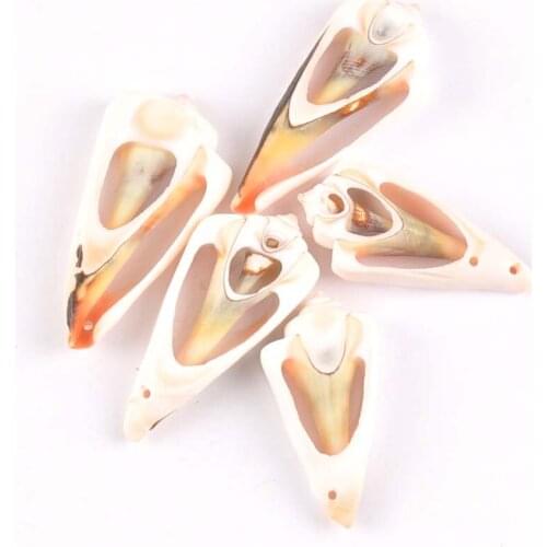 5pcs Natural Shell DIY Scrapbook Crafts Trilateral Pattern Seashells Handmade Accessories Home Decor Ornaments 20-50mm TR0132