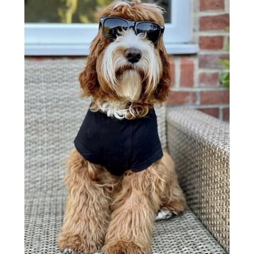 Fshion Pet Dog Summer Cotton T-shirt Vest Puppy Clothes Costume For Small Medium Dogs French Bulldog Pug Schnauzer Corgi GKC82