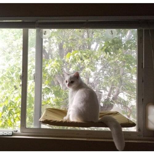 Cat shelf cushion pet cat hammock comfortable sun glass window kitten rest sleeping hammock bearing 20 kg
