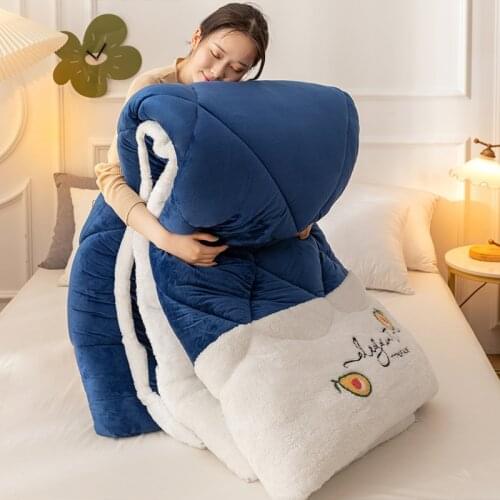 Double face comfortable warm quilt winter thickened blanket lamb cashmere space quilt core spring autumn home comforter