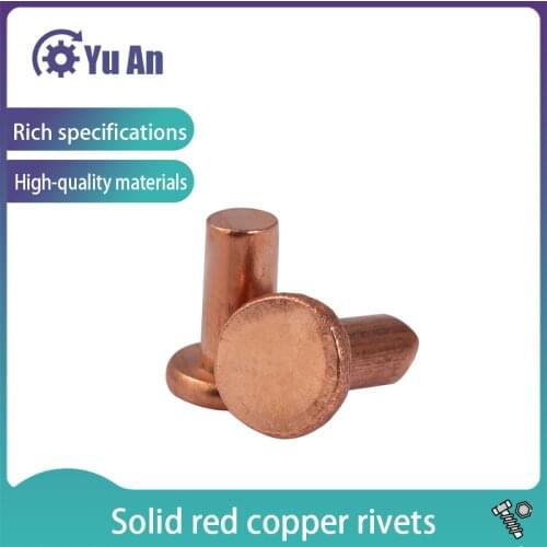 Solid Red Copper Rivets Pan Head Rivets Flat Head Copper Riveting GB867-86 S M3 100PCS