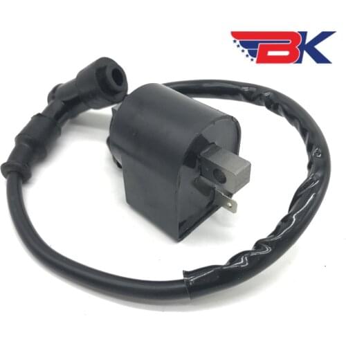 Ignition Coil With CDI for Suzuki JR50 JR 50 1985-2006 50cc ATV Dirt Bike