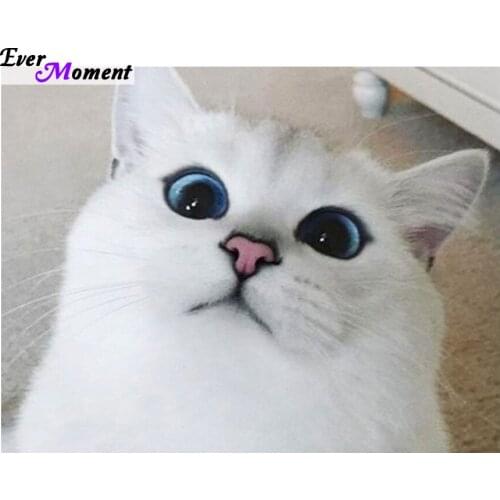Ever Moment DIY Diamond Painting White Katten 5D Diamond Embroidery Animal Pet Pictures Home Decor Household Painting ASF603