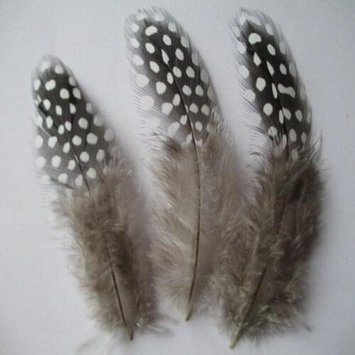 100 pcs Beautiful natural color guinea fowl feathers 2-3 inches / 5-8 cm Clothing jewelry decoration feather