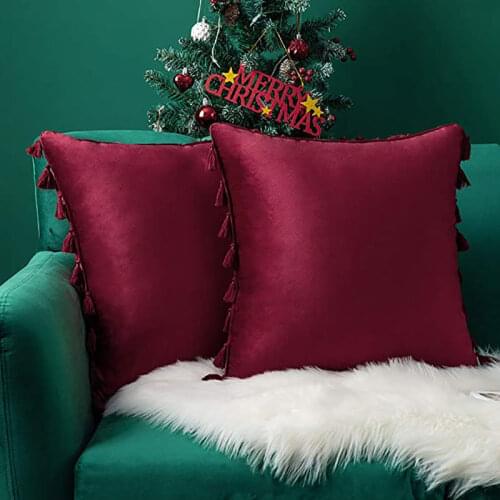 2 Pack Burgundy Velvet Soft Throw Pillow Cover with Tassels Fringe Boho Accent Cushion Case for Christmas Couch