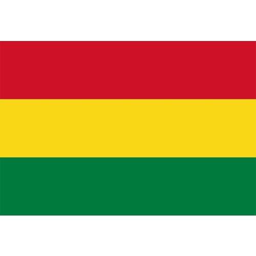 Yehoy hanging 90*150cm Bolivia Flag For Decoration
