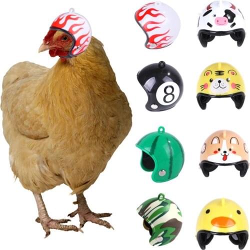 Chicken Helmet Cap Pet Protective Gear Sun Rain Protection Helmet Toy Bird Hens Small Pet Supplies Costumes Accessories