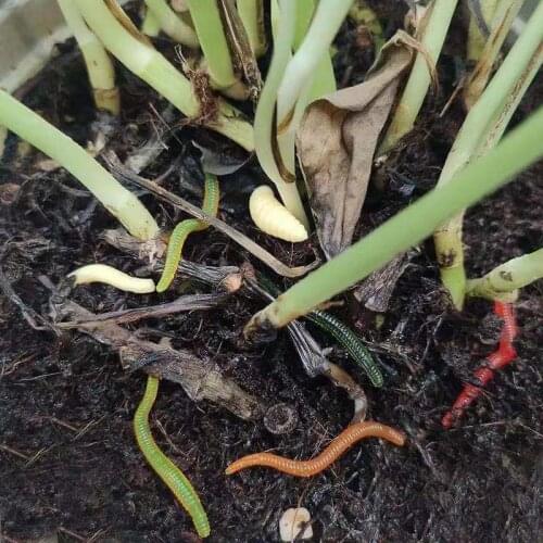 100Pc/lot 3.5cm Simulation Earthworm Red Worm Artificial Fishing Lure Tackle Soft Baits Lifelike Fishy Smell Lures Red Worm L201