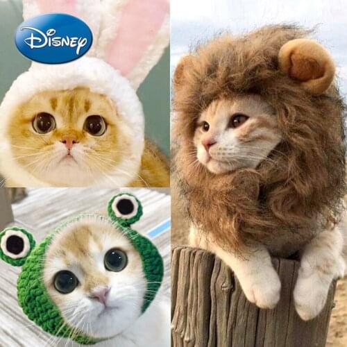 Disney Pet Cat Hat Headgear Teddy Pomeranian French Fighting Puppy Douyin Funny Hat Dog Hat Headwear Supplies