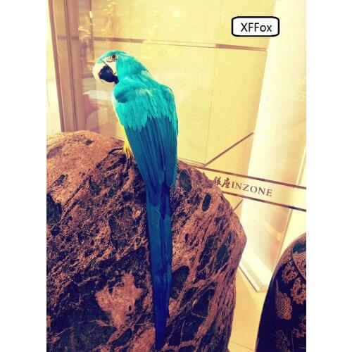 Big real life blue&yellow parrot model foam&feather simulation little wings parrot bird gift about 65cm xf0186