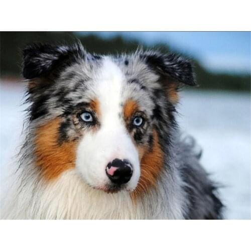 New DIY Diamond Embroidery Mosaic Shepherd dog Picture Square 5d Diamond Painting Crystal Rhinestones Animal Series Pet P807